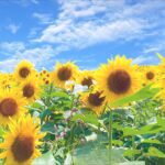 私が10年続けた副業。続けられた理由はコレ！