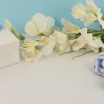 いいところだけを話す対談ではないです(笑)