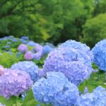 昨日、腑に落ちたことがありました